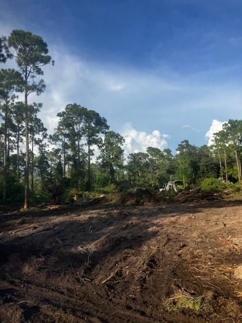 Lot was cleared several months back so there will be some grass growing on it now.