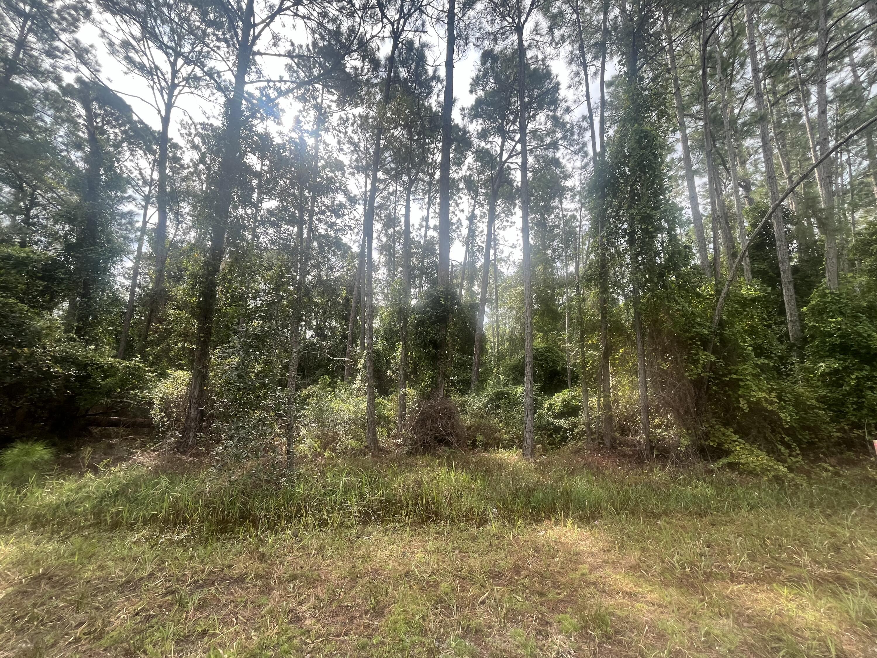 En Venta 223 SE 2nd Street, Georgetown, FL 32139, Georgetown, FL 32139