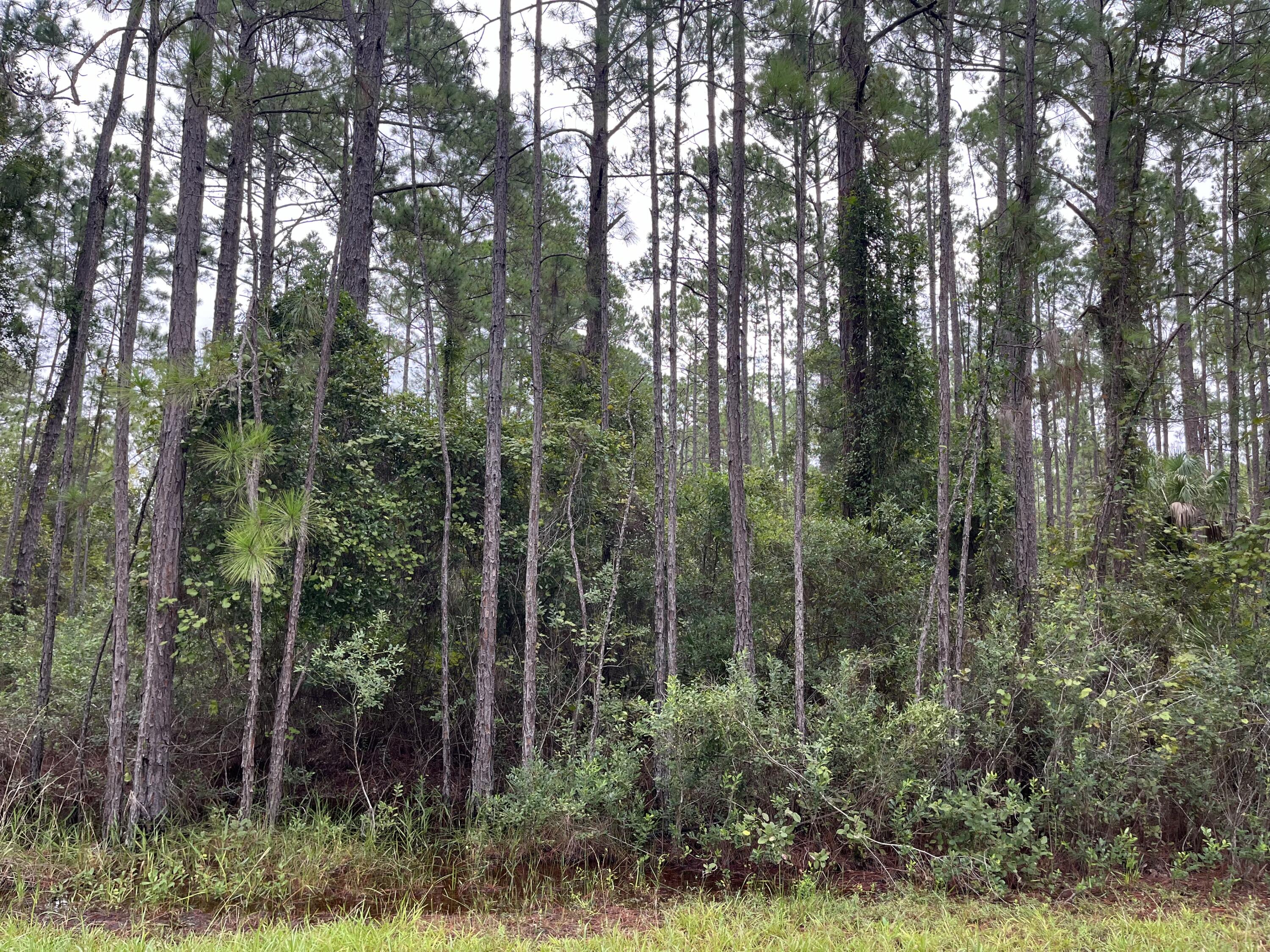 En Venta 117 Mosswood Street, Georgetown, FL 32139, Georgetown, FL 32139