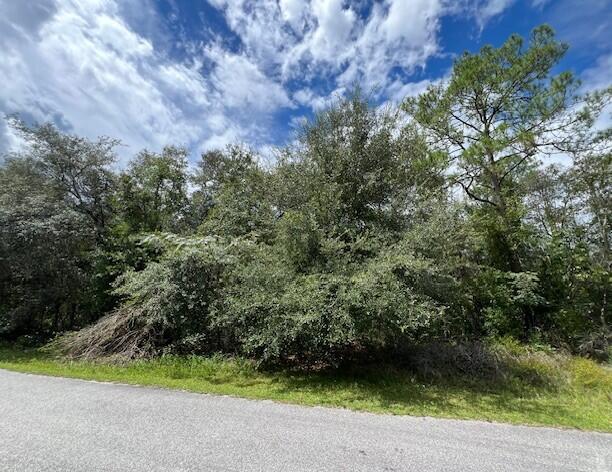 Foto de propiedad en 6252 N Cavalier Terrace, Citrus Springs, FL 34433 Citrus Springs con MLS# 