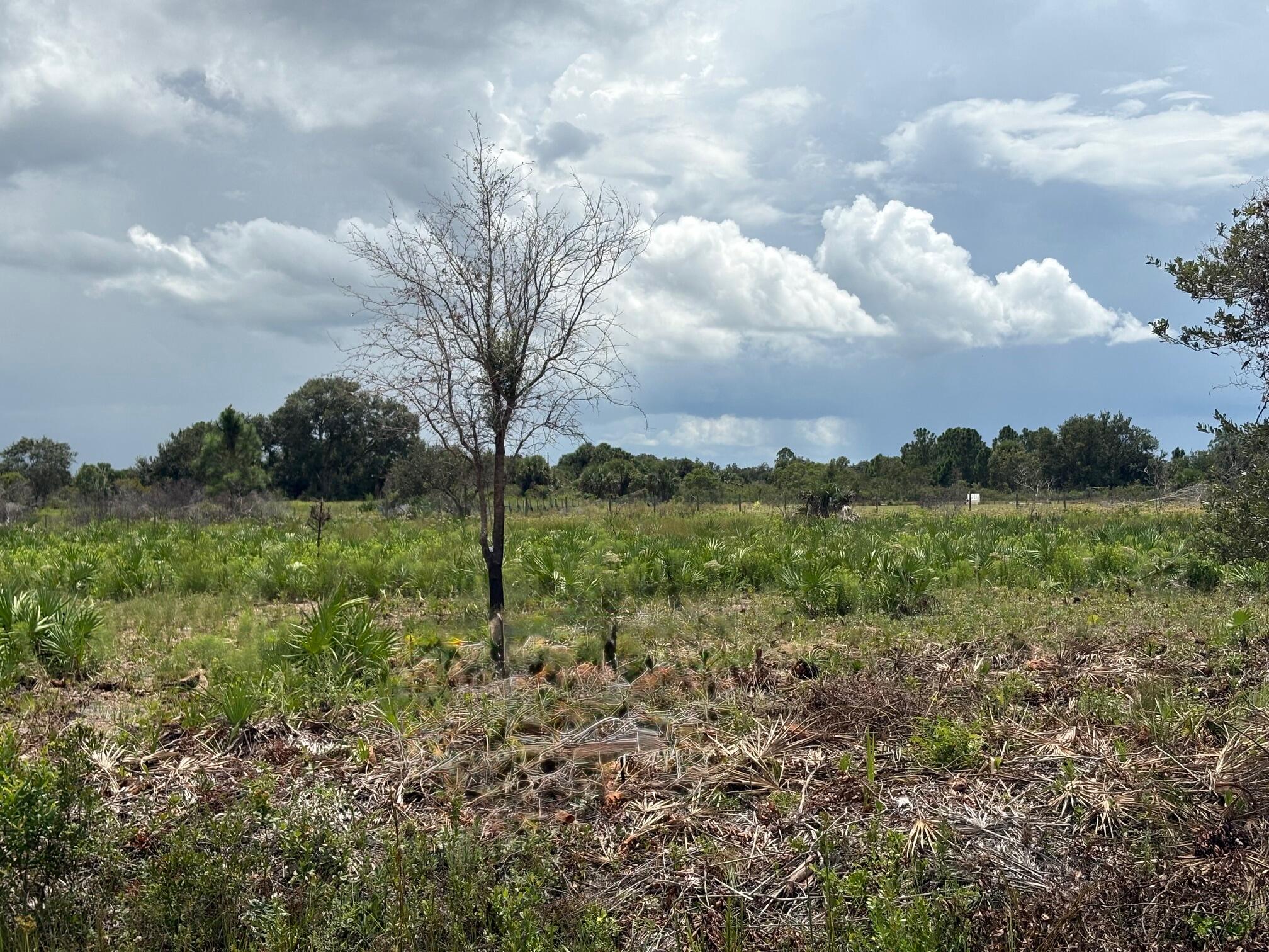 Foto de propiedad en 17982 NW 318th Street, Okeechobee, FL 34972 Okeechobee con MLS# 