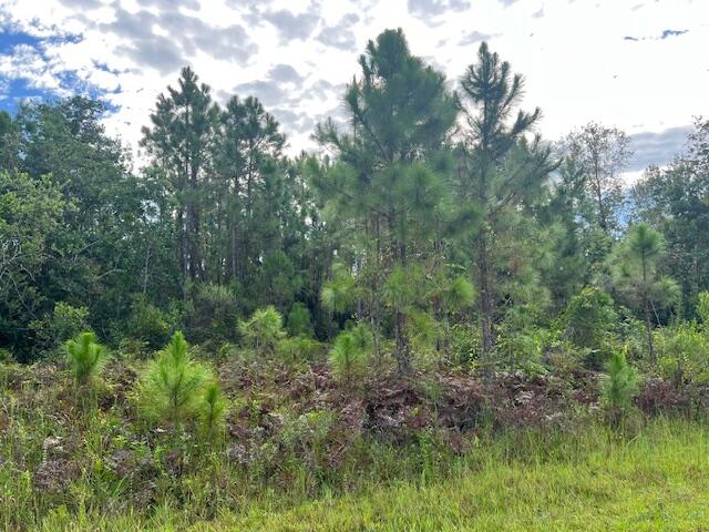 En Venta 1131 Greenfield Street, Lake Placid, FL 33852, Lake Placid, FL 33852
