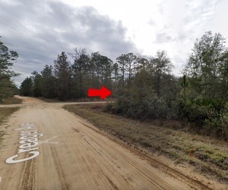 En Venta 000 Creager Avenue, Interlachen, FL 32148, Interlachen, FL 32148