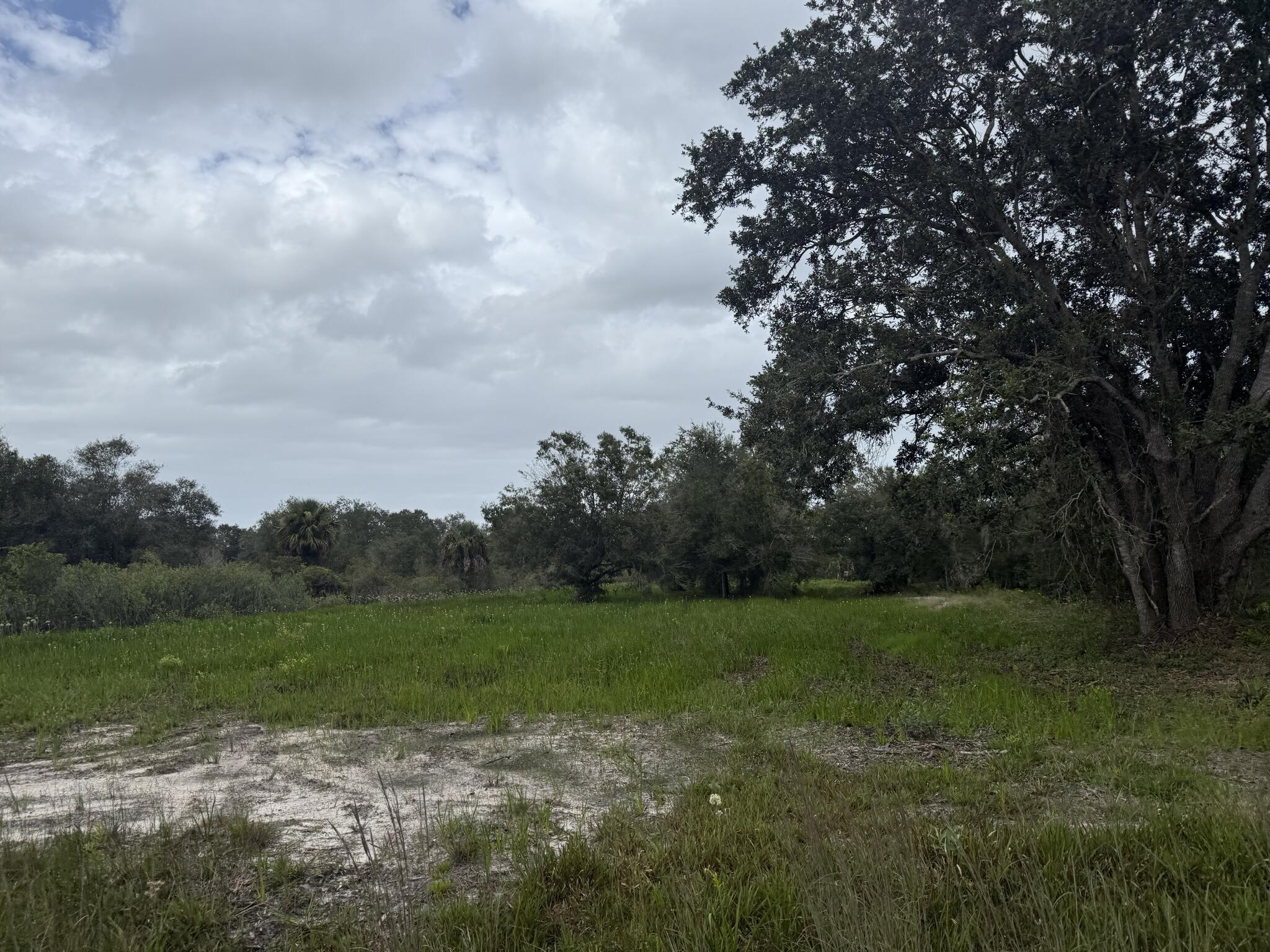 En Venta 17915 NW 290th Street, Okeechobee, FL 34972, Okeechobee, FL 34972