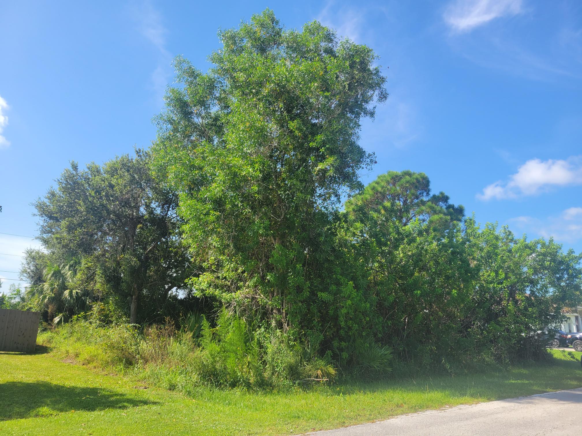 Foto de propiedad en 474 SW Kaabe Avenue, Port St. Lucie, FL 34953 Port St. Lucie con MLS# 
