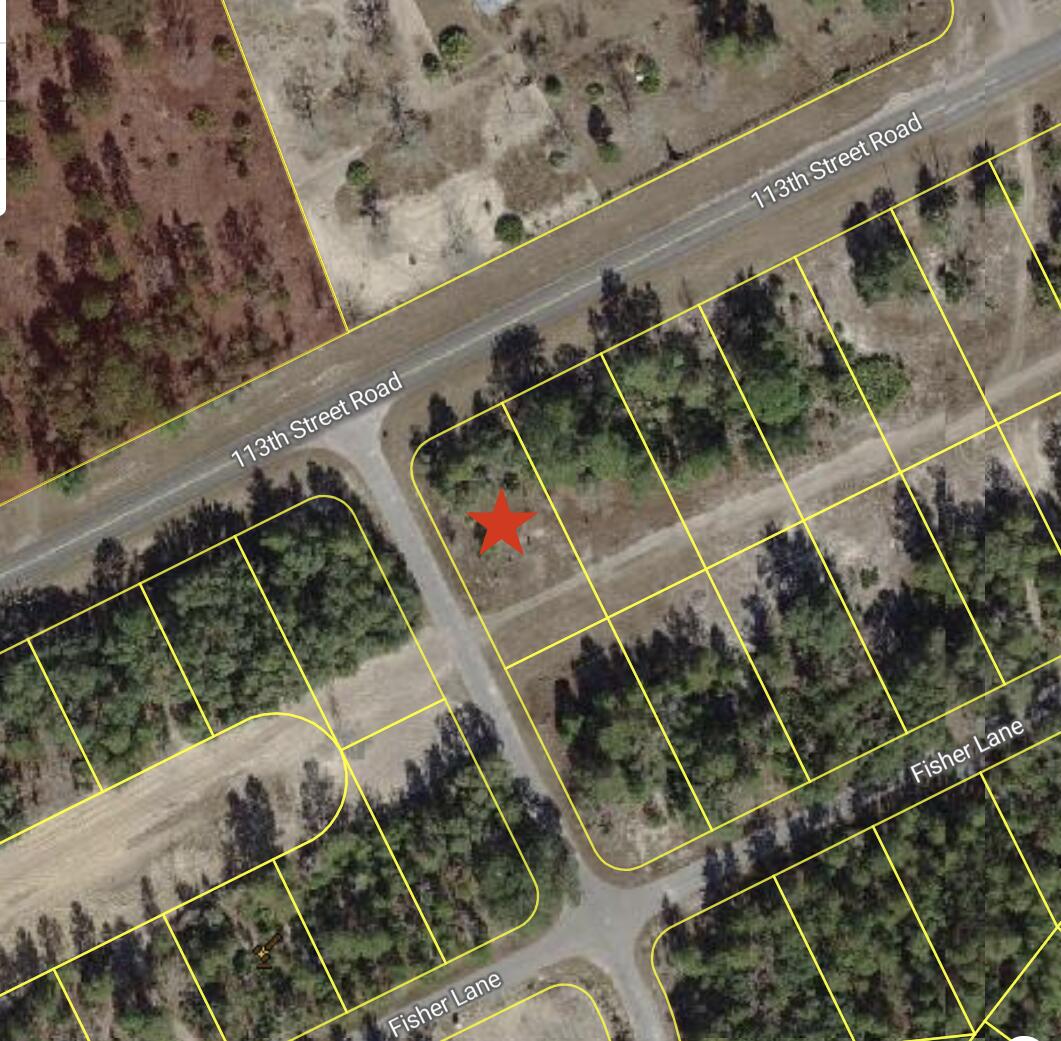 En Venta 0 Tbd 113th Street Lot 1 Road, Ocklawaha, FL 32179, Ocklawaha, FL 32179