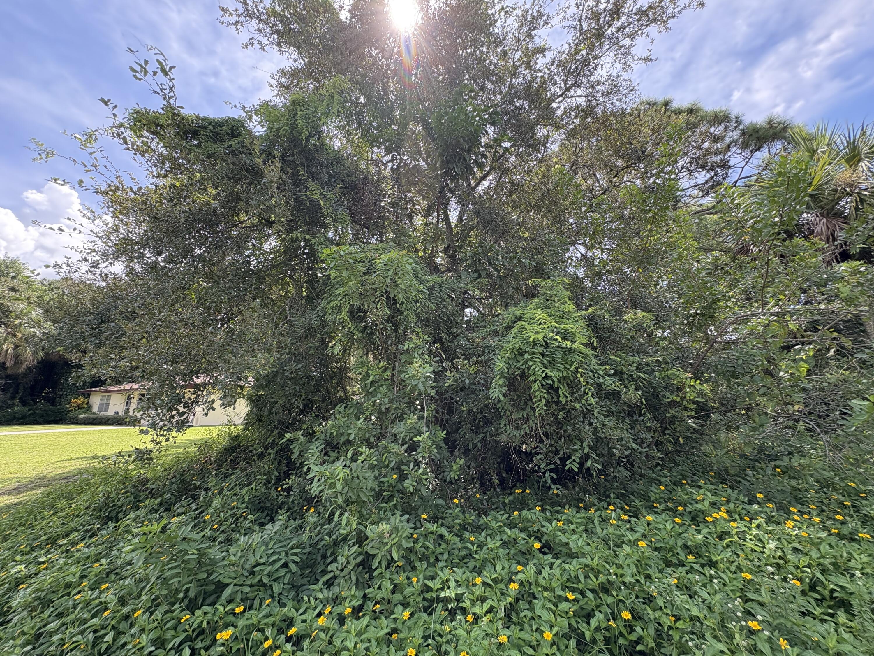 Foto de propiedad en Tbd Santa Clara Boulevard, Port St. Lucie, FL 34951 Port St. Lucie con MLS# 