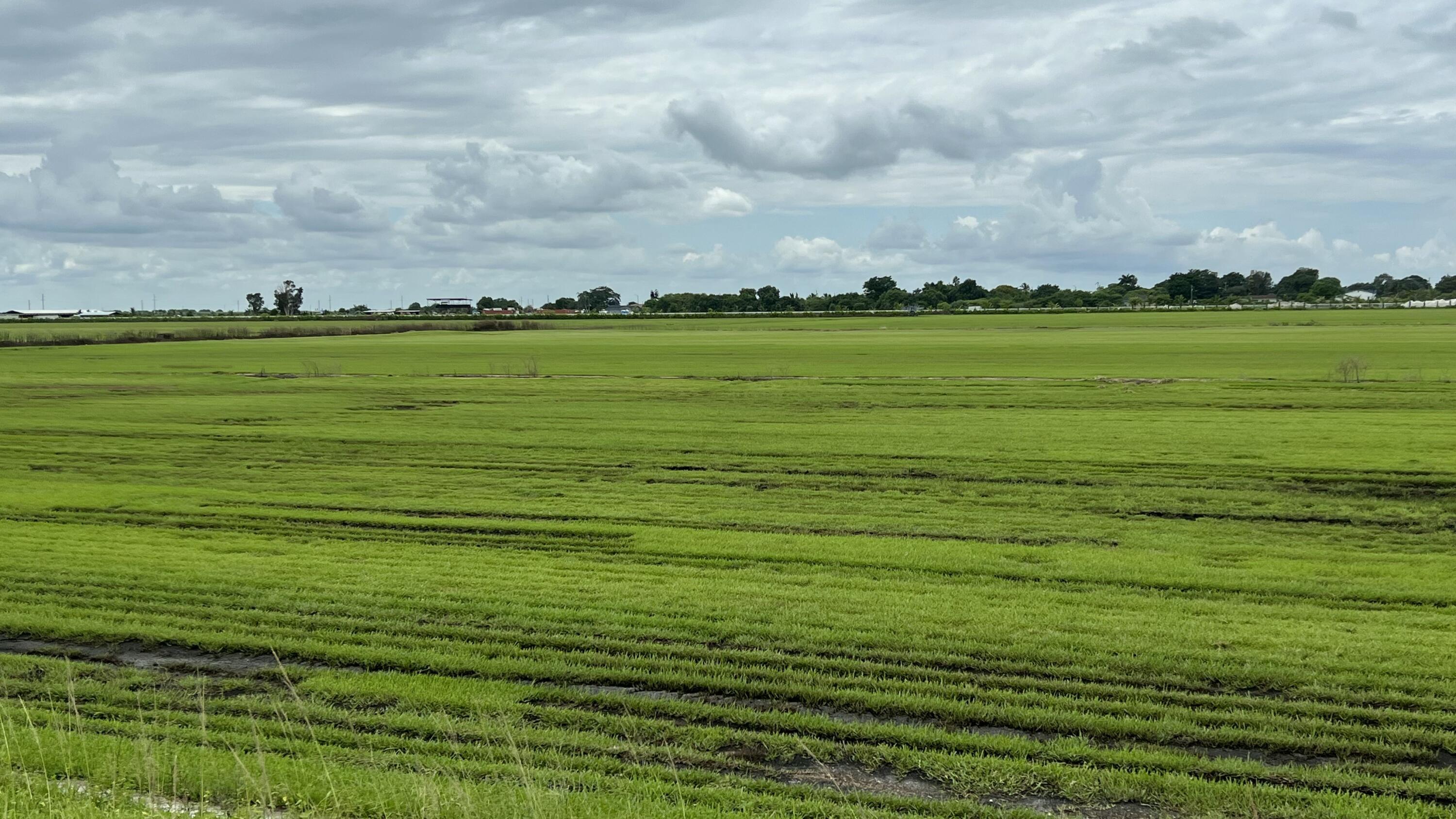 Foto de propiedad en 400 State Road 80, Belle Glade, FL 33430 Belle Glade con MLS# 