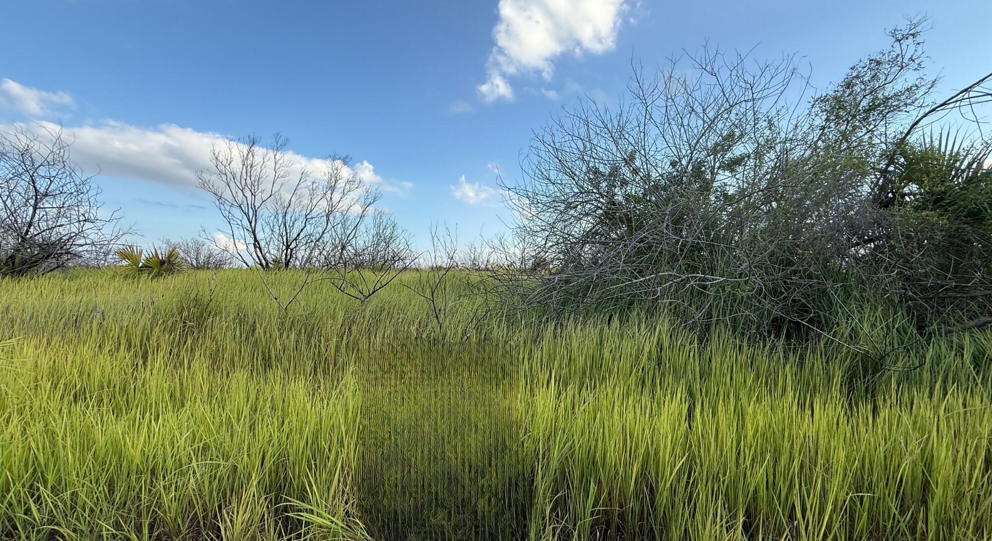 Oversized Lot | 12,632 ± sq ft | Build Your Dream Home Quiet, growing SW Palm Bay location with room to design the layout you want. No HOA. Choose your own builder. Close to shopping, schools and I-95. •	Lot size approx. 12,632 ± sq ft •	Paved road frontage Also available nearby: a slightly smaller corner lot at 12,196 ± sq ft. Ask about purchasing both for extra space or future flexibility.