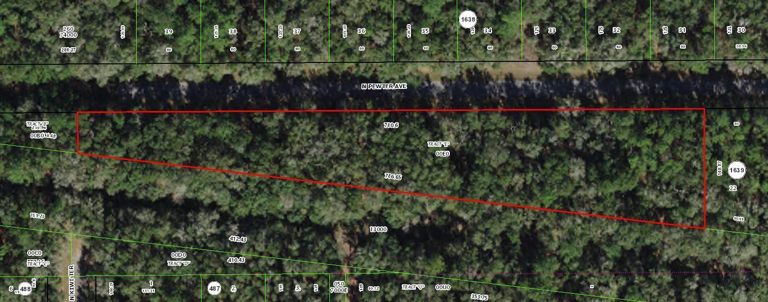 En Venta 182 E Kingsdale Street, Citrus Springs, FL 34434, Citrus Springs, FL 34434