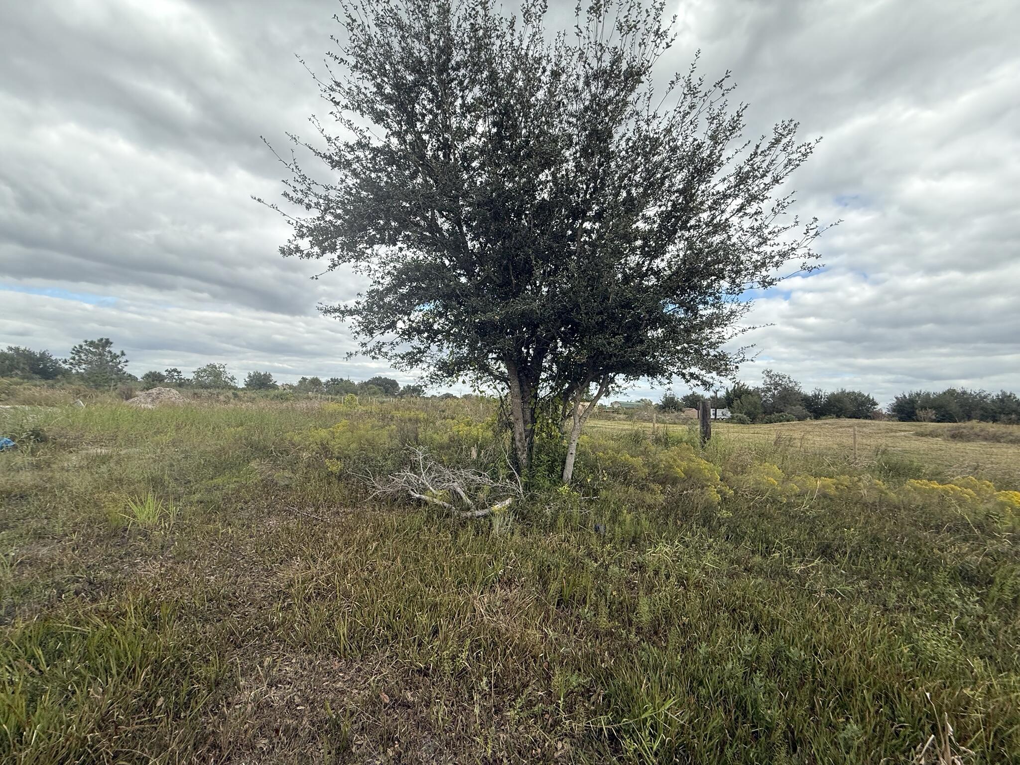 Foto de propiedad en 18677 NW 270th Street, Okeechobee, FL 34972 Okeechobee con MLS# 