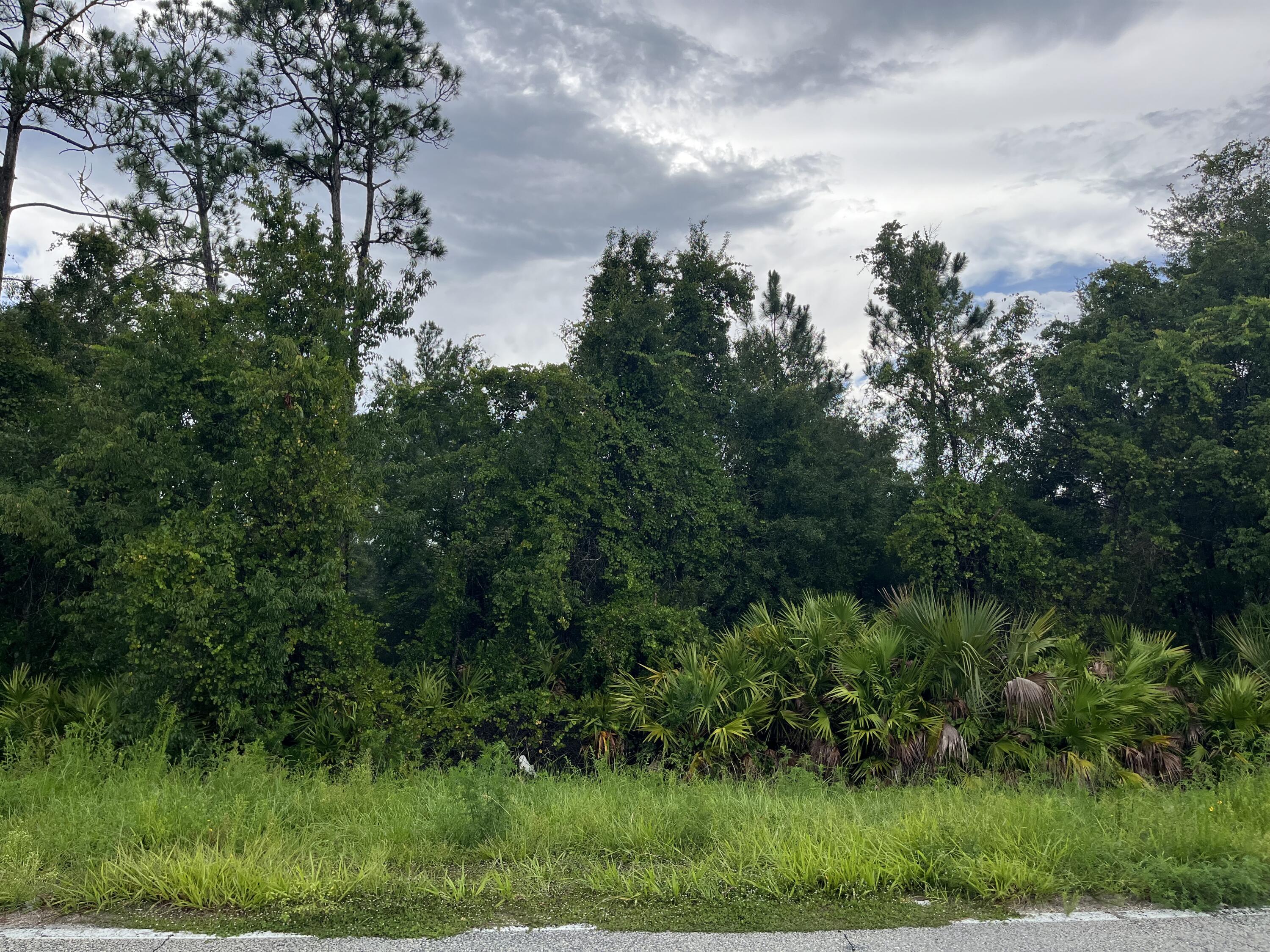 En Venta 6883 St Johns Avenue, Palatka, FL 32177, Palatka, FL 32177