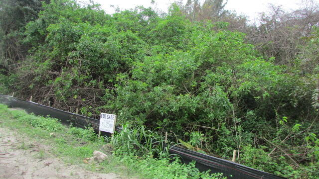 Foto de propiedad en 16750 SW Conners Highway, Okeechobee, FL 34974 Okeechobee con MLS# 