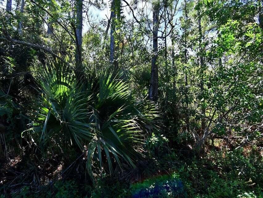 Foto de propiedad en 0 Macquillen Road, Port St. Lucie, FL 34952 Port St. Lucie con MLS# 