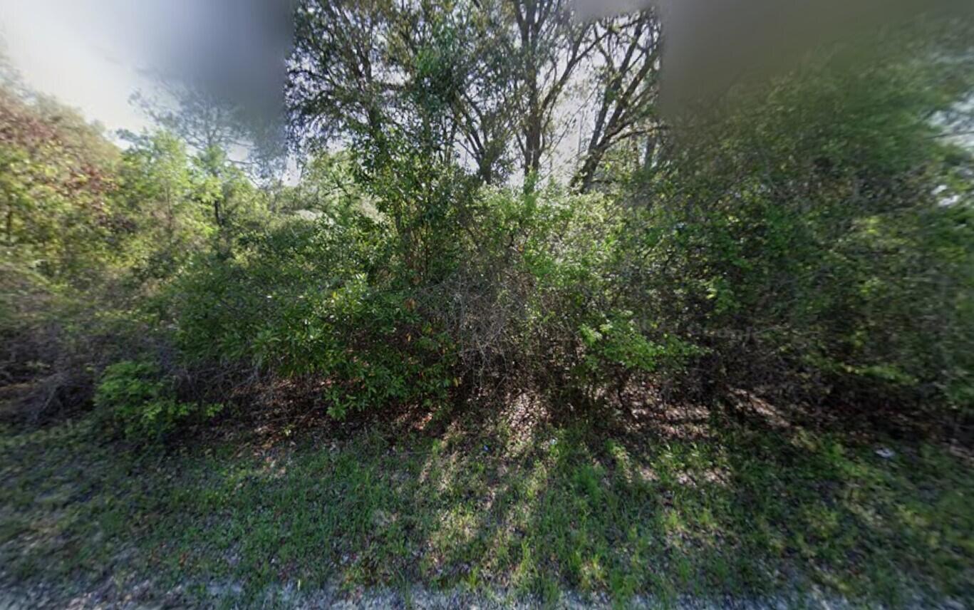 Foto de propiedad en Tbd NE 799th Street, Old Town, FL 32680 Old Town con MLS# 