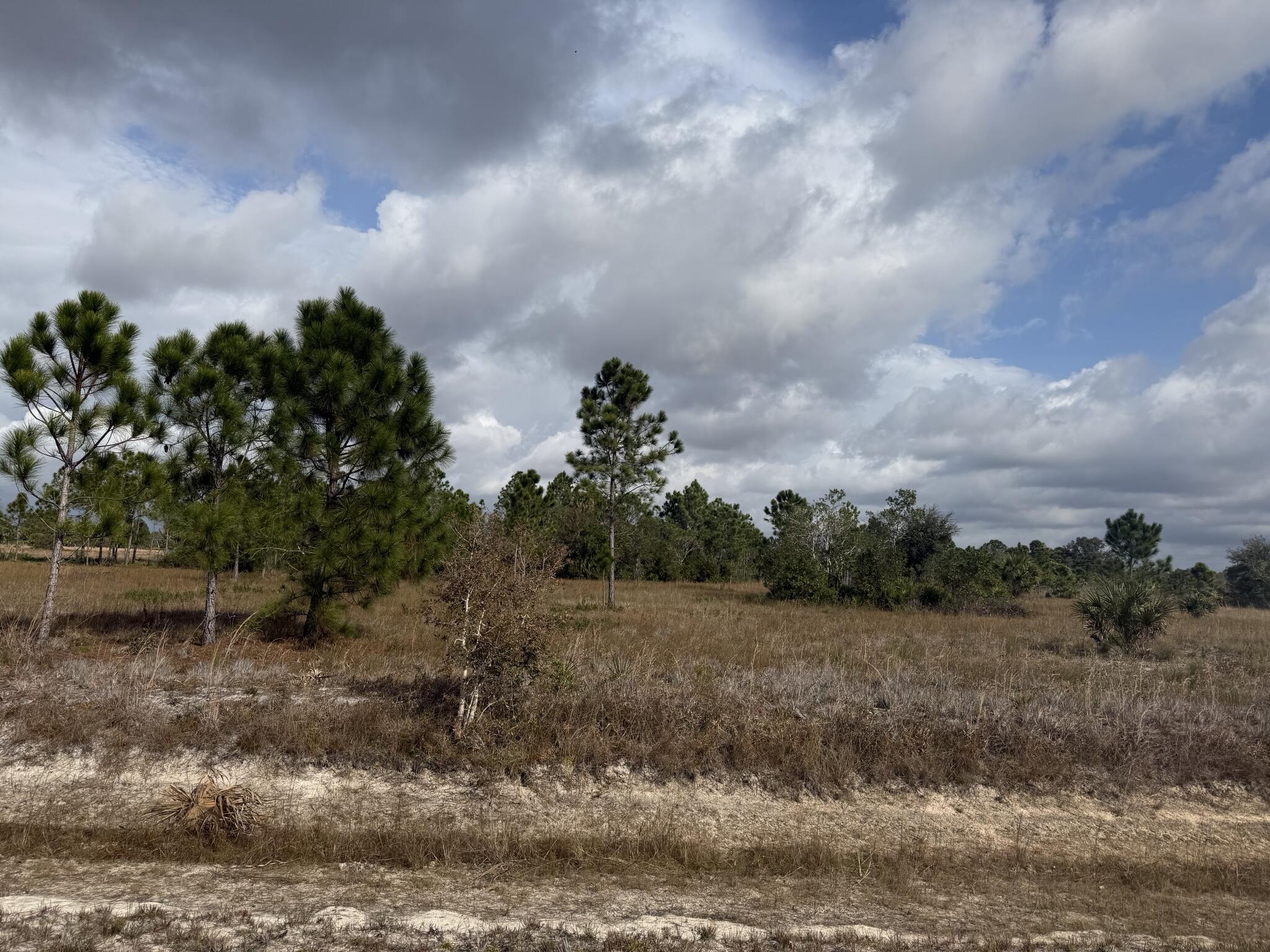 En Venta 16375 NW 314th Street, Okeechobee, FL 34972, Okeechobee, FL 34972