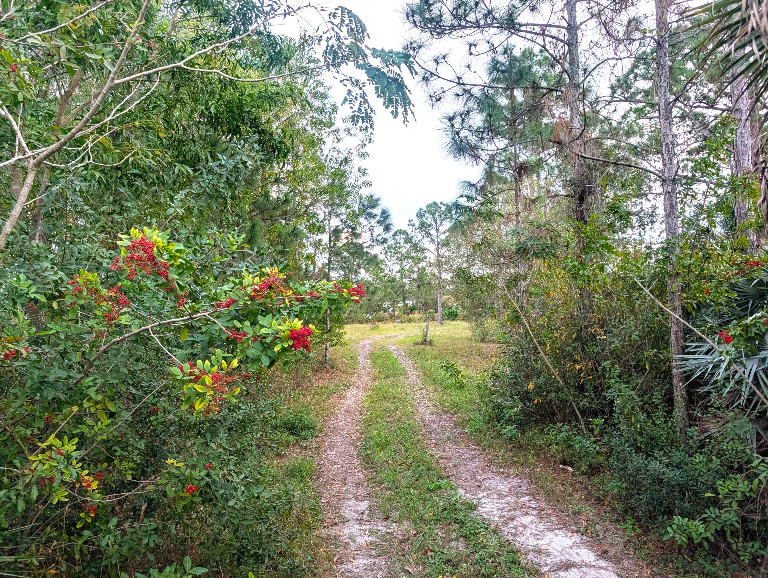 Foto de propiedad en 8590 130th Avenue, Fellsmere, FL 32948 Fellsmere con MLS# 