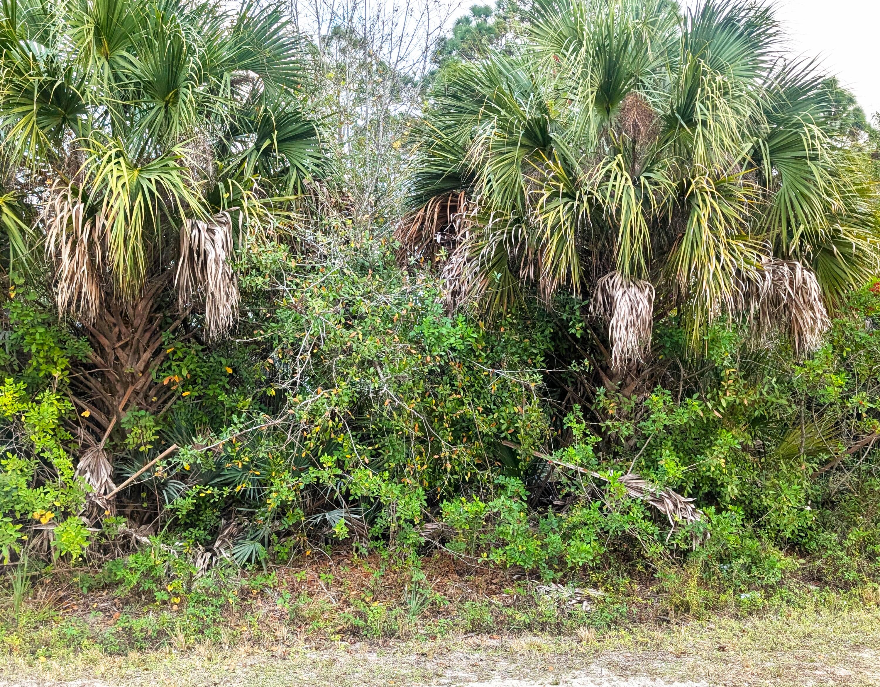 Foto de propiedad en 12885 86th Street, Fellsmere, FL 32948 Fellsmere con MLS# 