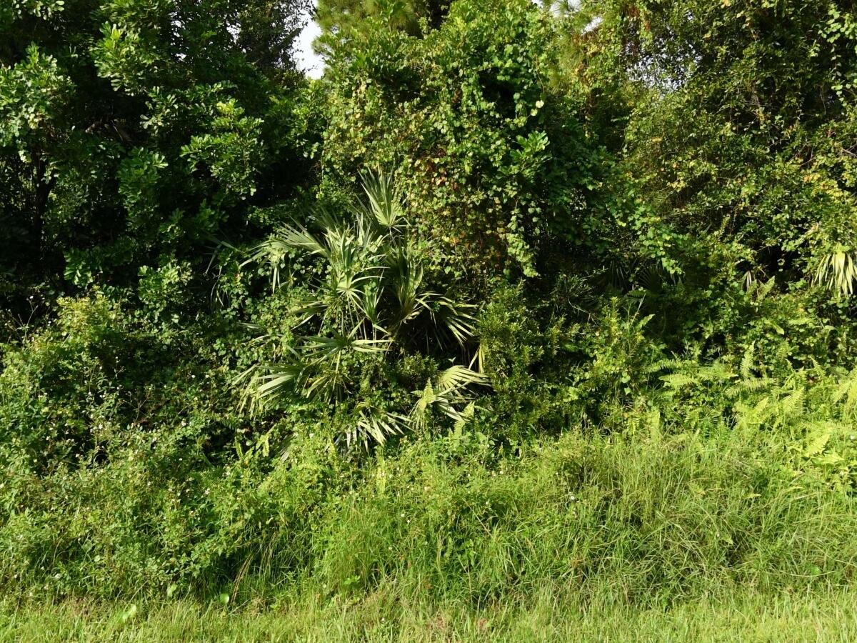 Foto de propiedad en 2338 SW Fern Circle, Port St. Lucie, FL 34953 Port St. Lucie con MLS# 
