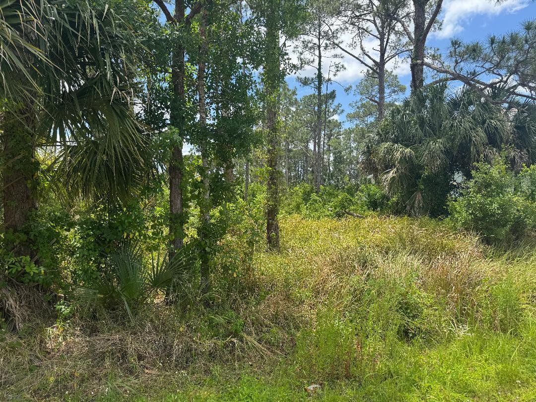 En Venta 1458 Transcoro Street SE, Palm Bay, FL 32909, Palm Bay, FL 32909