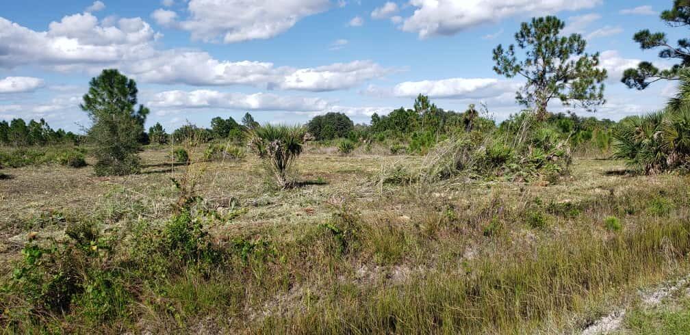 Foto de propiedad en 16963 NW 292nd Street, Okeechobee, FL 34972 Okeechobee con MLS# 