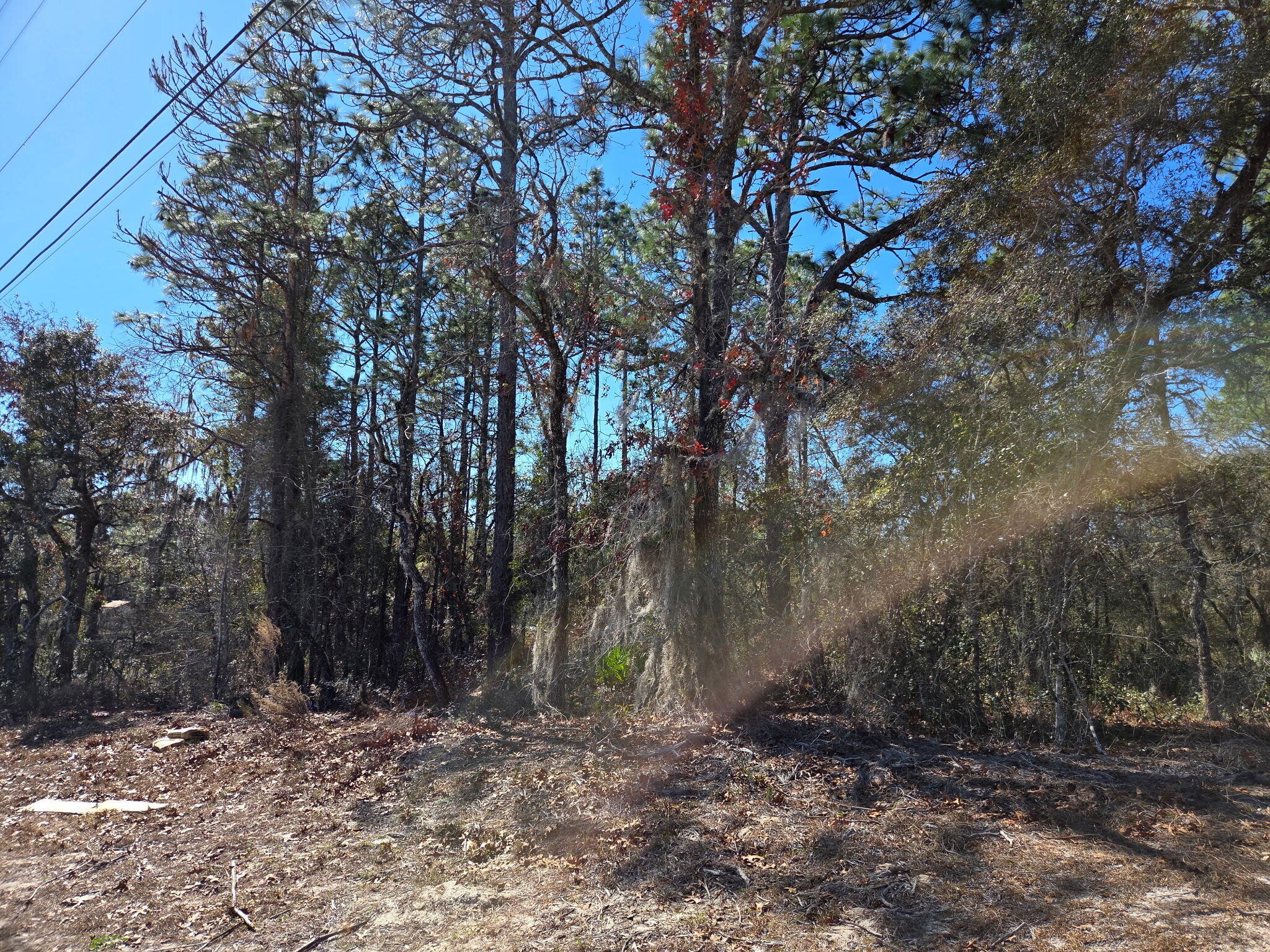 En Venta 8 Marion Oaks Lane, Marion Oaks, FL 34473, Marion Oaks, FL 34473
