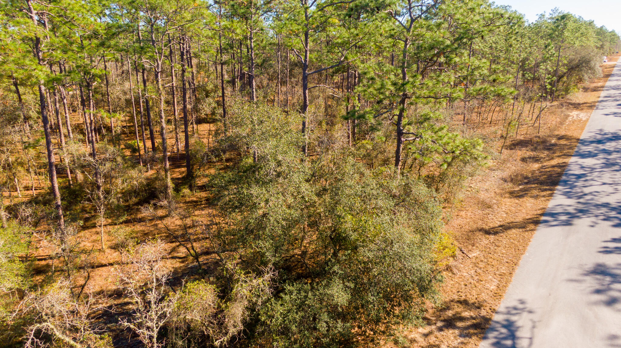 En Venta 0000 SW Commodore Road, Dunnellon, FL 34431, Dunnellon, FL 34431