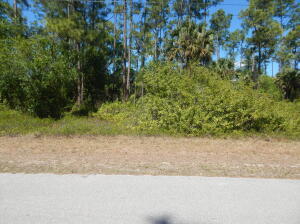 Foto de propiedad en 1047 Asther Street E, Lehigh Acres, FL 33974 Lehigh Acres con MLS# 