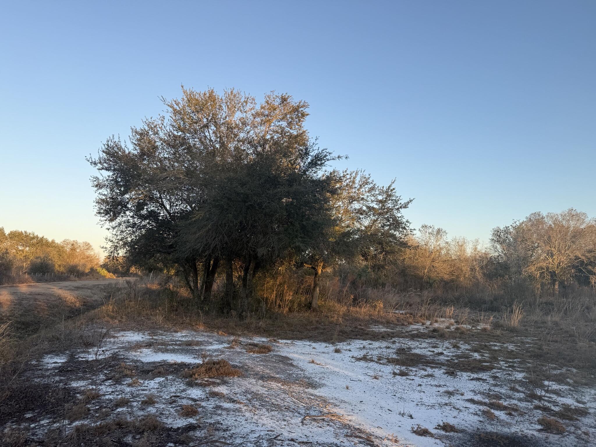 En Venta 18344 NW 284th Street, Okeechobee, FL 34972, Okeechobee, FL 34972