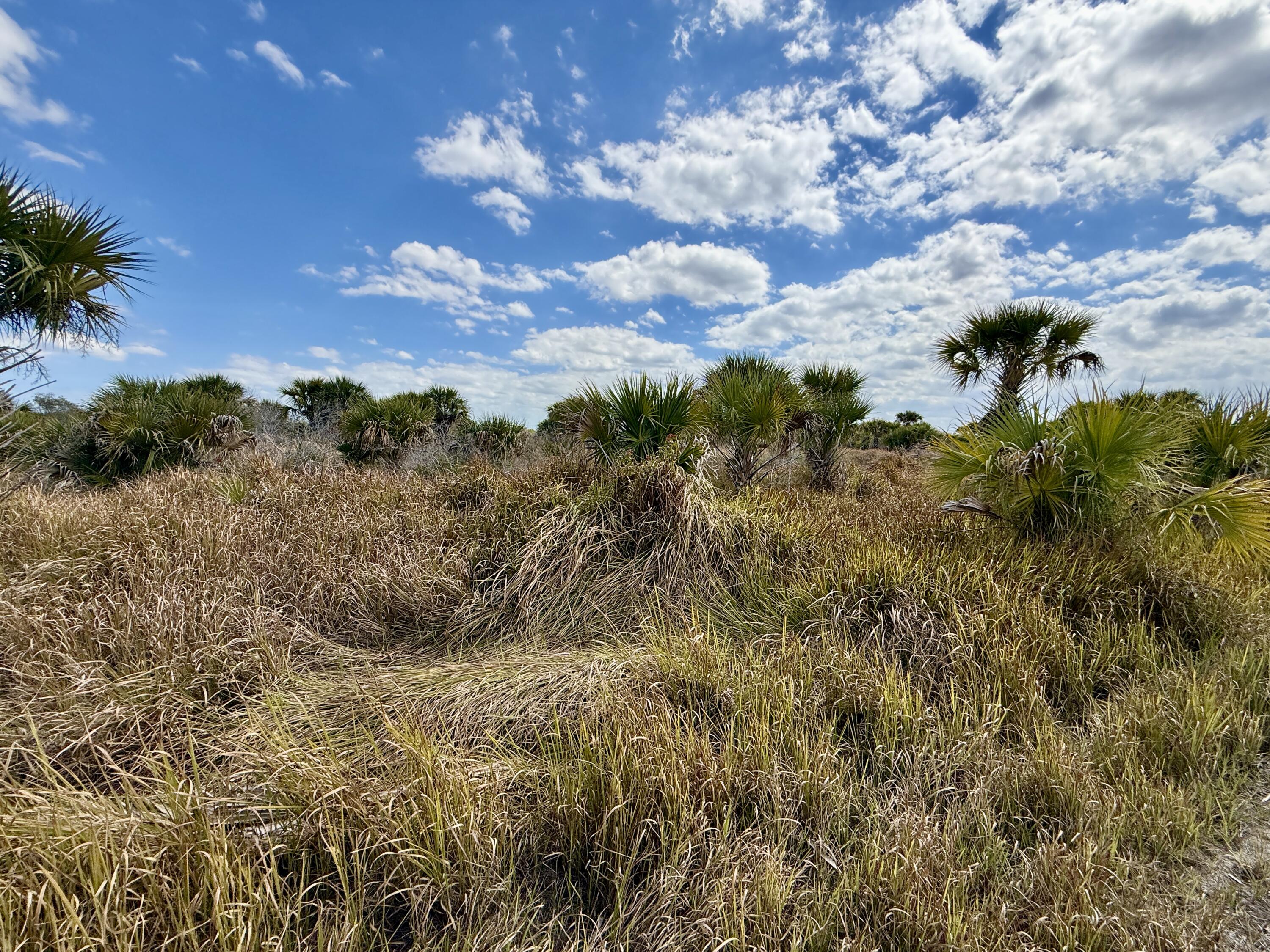 Foto de propiedad en 1909 Comer Terrace SW, Palm Bay, FL 32908 Palm Bay con MLS# 