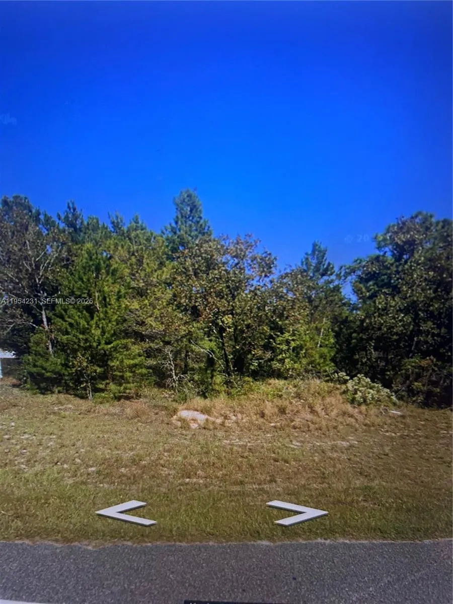 En Venta St Interlachen, FL 32148, FL 32148