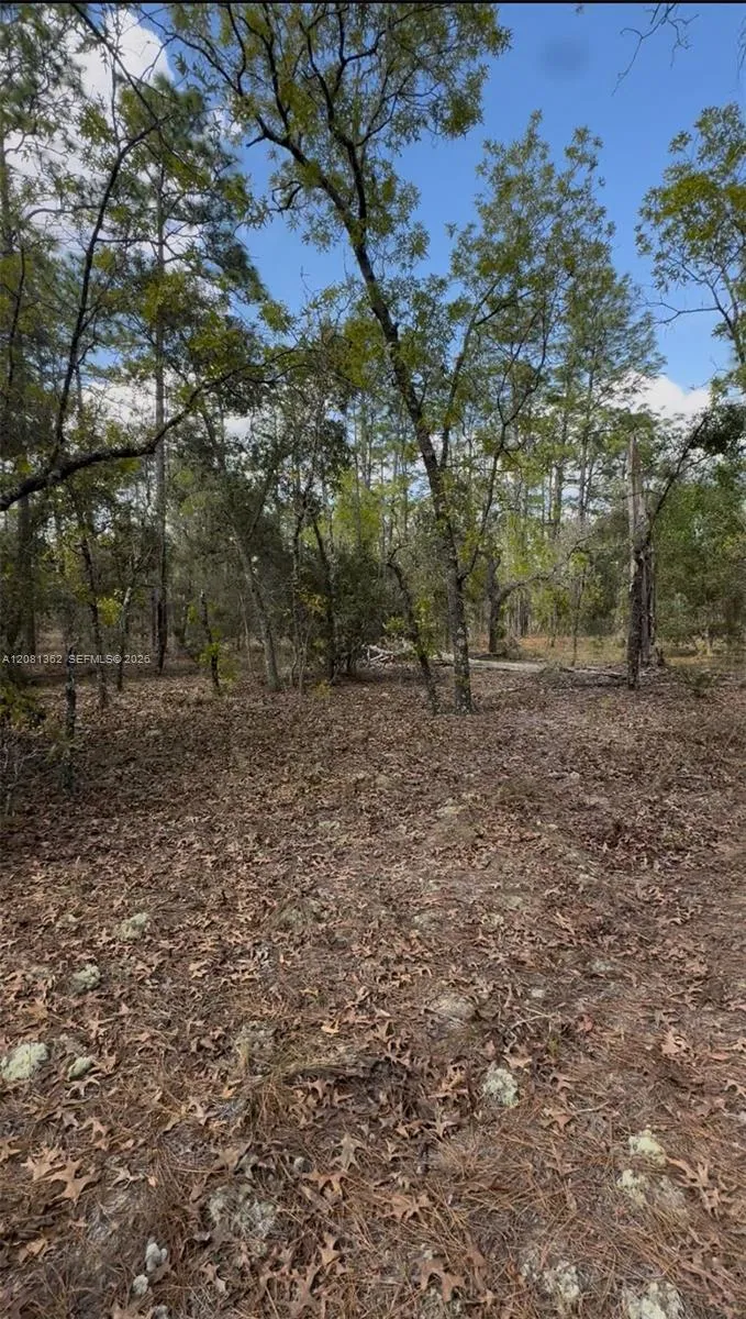 En Venta SW SW Indian Hill Drive, Ocala, FL 34431, Ocala, FL 34431