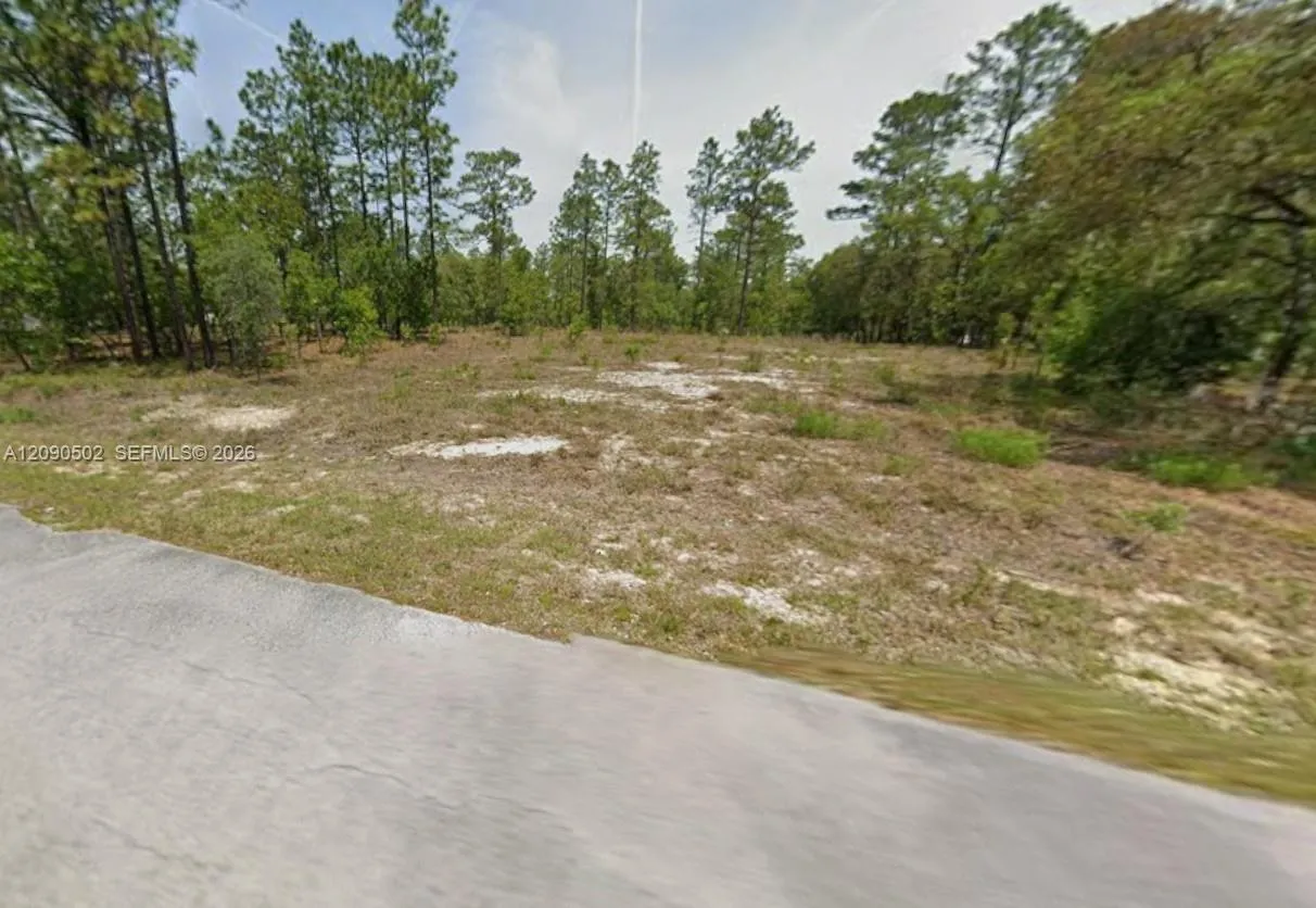 En Venta Yyy NW Yyy Geranium Avenue, FL 34431, FL 34431